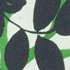 vert/multicolore-100682