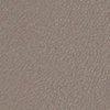 gris beige-100725