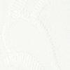 wit-100857