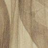 Beige-100881