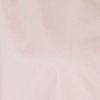 rose-100958