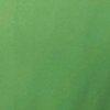 vert pomme-100999