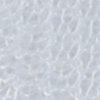 wit-101073