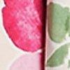 fuchsia/multicolore-101855
