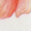 wit/multicolour-101924