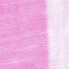 wit/orchidee-102038