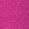 Fuchsia-102609