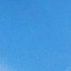 bleuet-102713