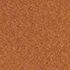 Camel-102801