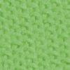Kiwi-103044