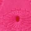 Fuchsia-103590
