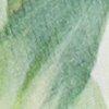 blanc gris/multicolore-103734