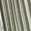 salie-103902