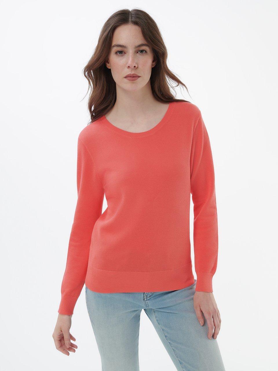 Peter Hahn - Le pull 100 % coton SUPIMA