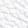 wit-104271