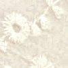 naturel-104829