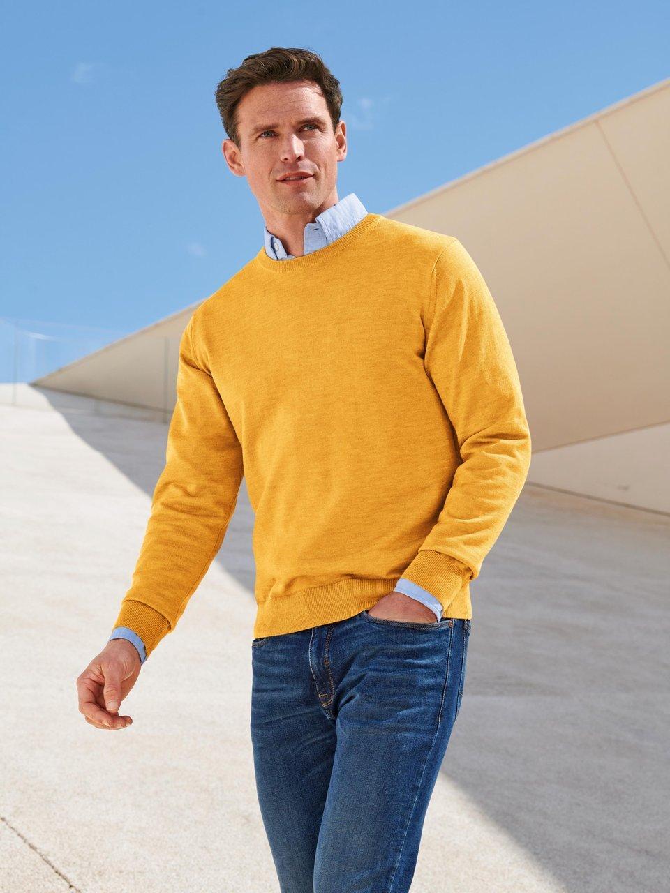 Peter Hahn - Le pull 100% laine vierge