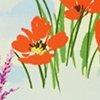blauw/multicolour-105233