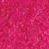 Fuchsia-105320