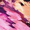zwart/cyclaam/multicolour-105402