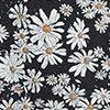 noir/blanc/multicolore-105499