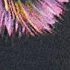 Schwarz/Multicolor-108876