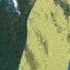 vert/multicolore-110639