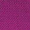 Fuchsia-111679