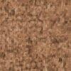 camel-112456