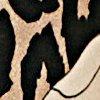 zwart/champagne-112732
