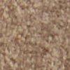 taupe-112761