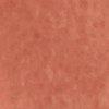 Camel-112993