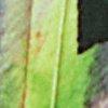 groen/multicolour-113054
