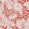 antiek-roze-113089