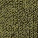 Khaki-113099