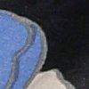 zwart/royalblauw/multicolour-113495