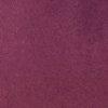 Beere-113735