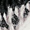 Offwhite/Schwarz-113835