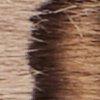 zwart/beige-113887