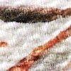 Offwhite/Multicolor-114094