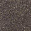 bruin-114366