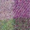 Pink/Multicolor-114541