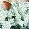 Mint/Gelb/Multicolor-114636