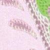 roze/appelgroen/multicolour-114741