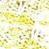 citron/multicolore-114745