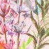 ecru/multicolour-114815