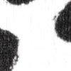 blanc/noir-114976