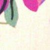 champagne/multicolore-114984
