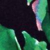 zwart/multicolour-114995