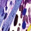 Multicolor-114997